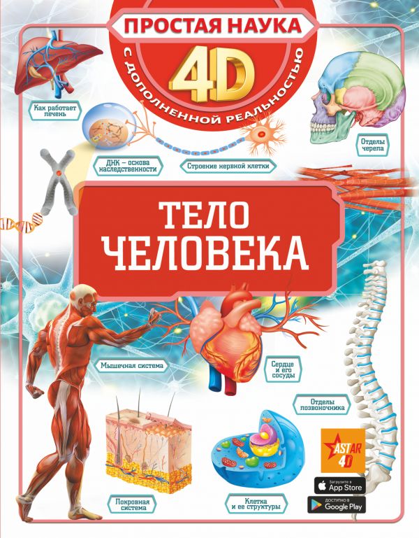 Тело человека_